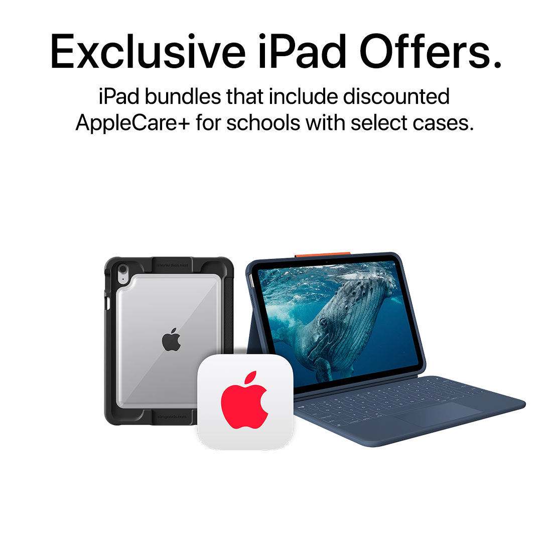 Store Pad Apple Store for Apple Store : Home